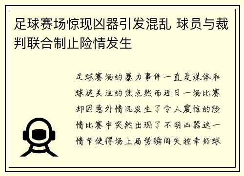 足球赛场惊现凶器引发混乱 球员与裁判联合制止险情发生