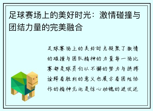 足球赛场上的美好时光：激情碰撞与团结力量的完美融合