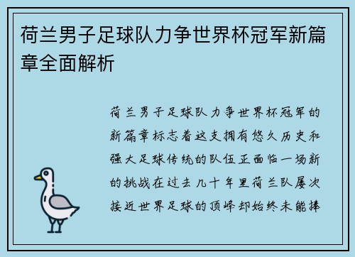 荷兰男子足球队力争世界杯冠军新篇章全面解析