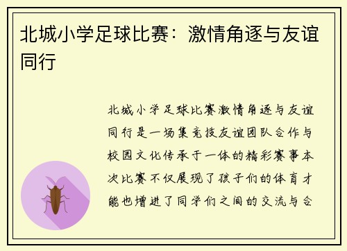 北城小学足球比赛：激情角逐与友谊同行