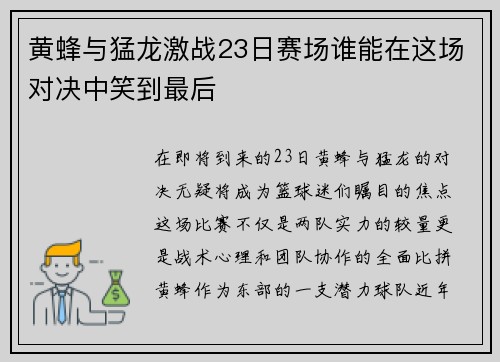 黄蜂与猛龙激战23日赛场谁能在这场对决中笑到最后