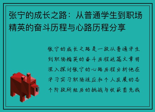 张宁的成长之路：从普通学生到职场精英的奋斗历程与心路历程分享